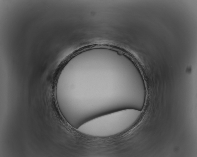 X0000090431263200707131000