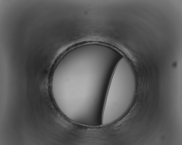 X0000090431264200707131000