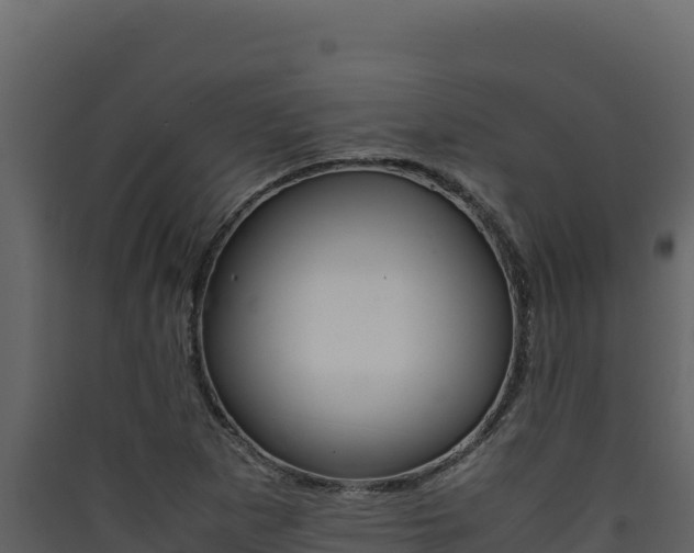 X0000090431265200707131000