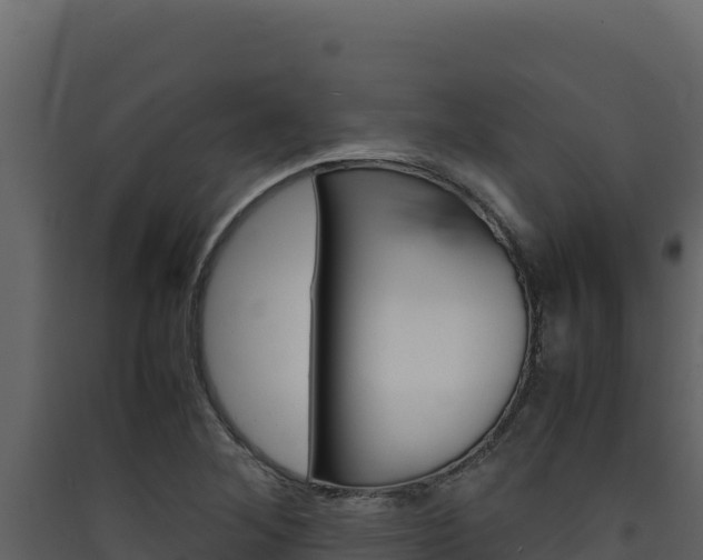X0000090431268200707131000