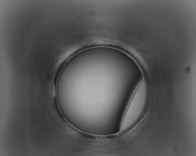 X0000090431269200707131000
