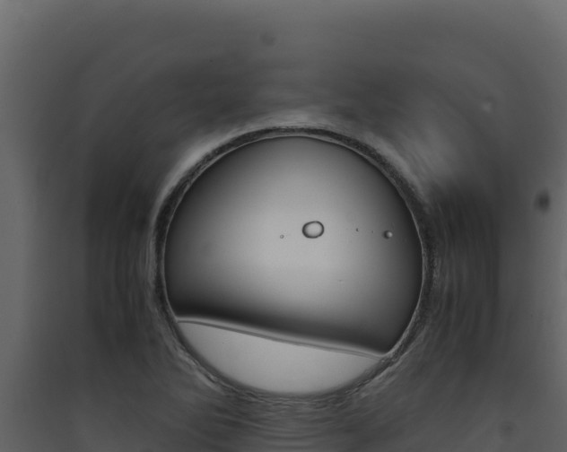 X0000090431270200707131000