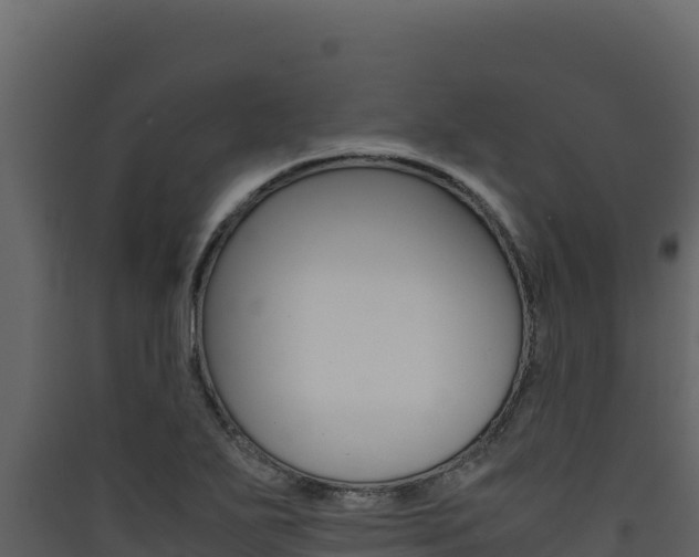 X0000090431271200707131000