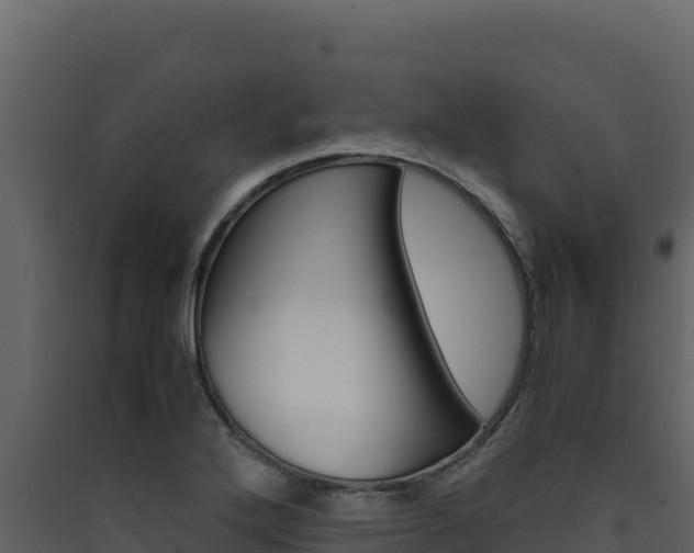 X0000090431272200707131000