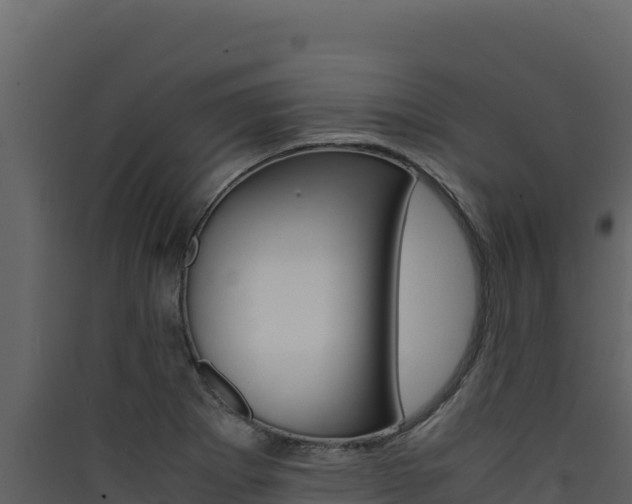 X0000090431273200707131000
