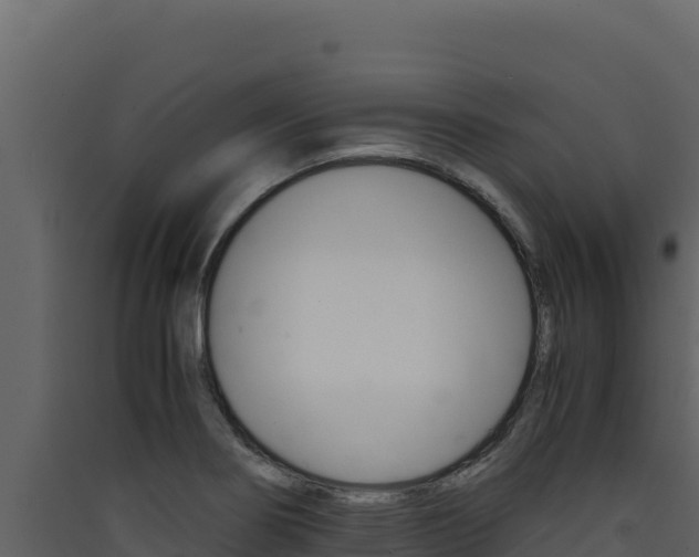 X0000090431274200707131000