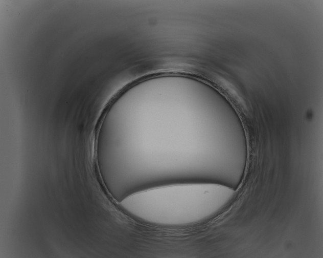 X0000090431275200707131000
