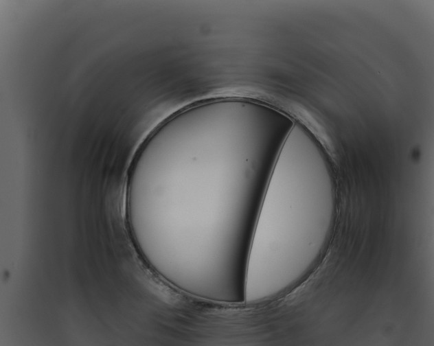 X0000090431276200707131000