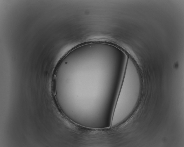 X0000090431277200707131000