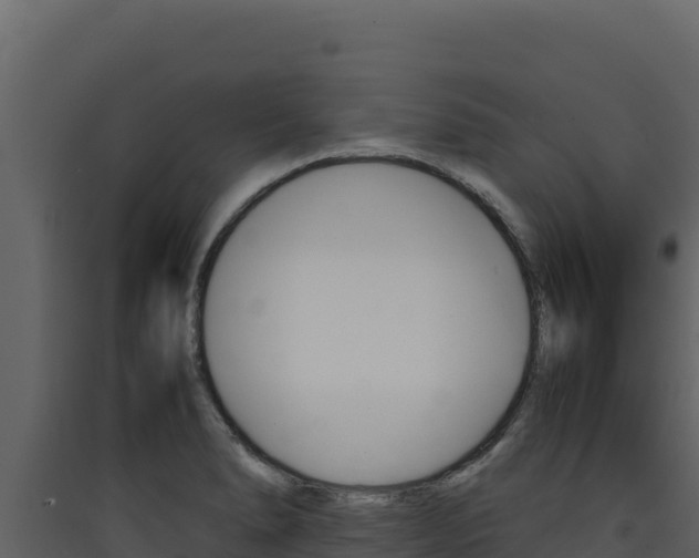 X0000090431278200707131000