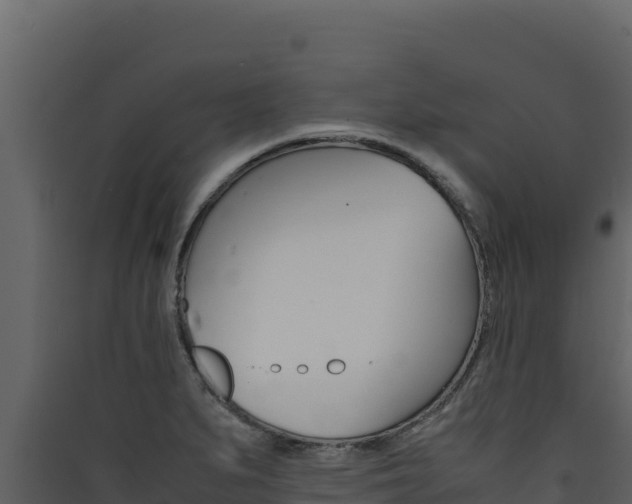 X0000090431279200707131000