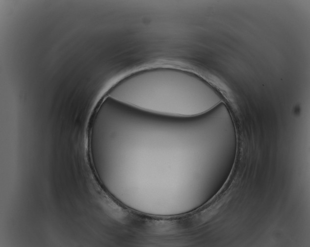 X0000090431280200707131000