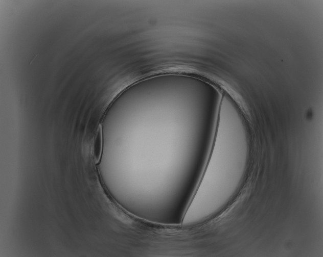 X0000090431281200707131000