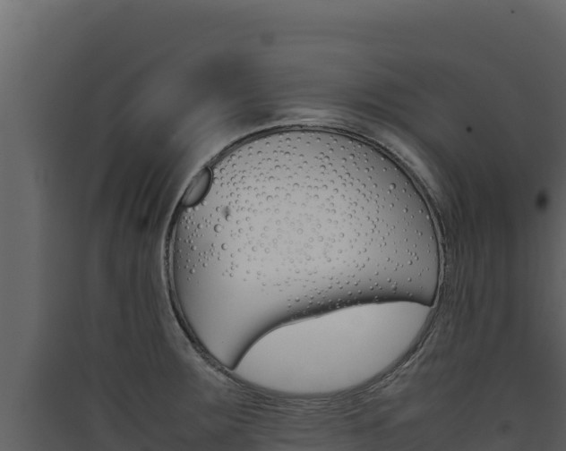 X0000090431283200707131000