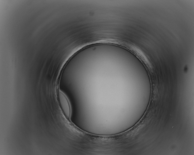X0000090431284200707131000