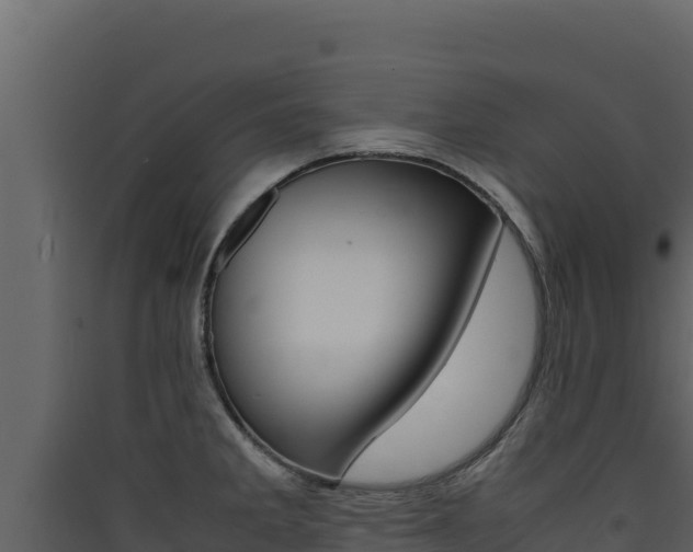 X0000090431285200707131000