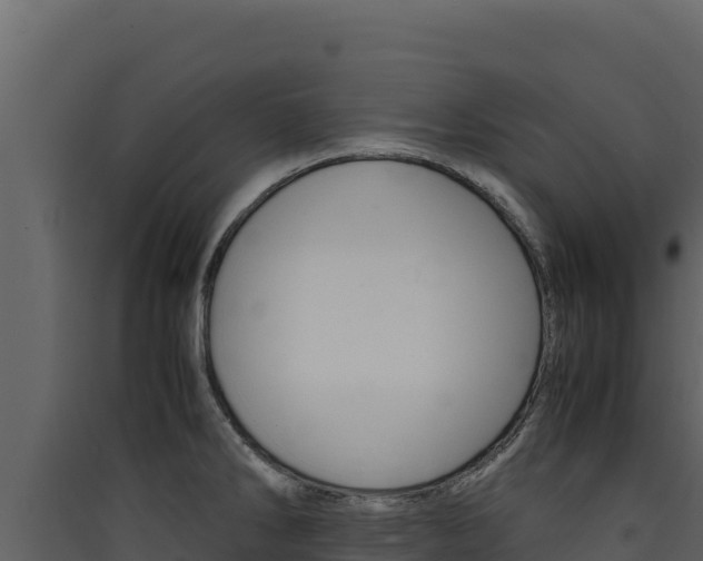 X0000090431286200707131000