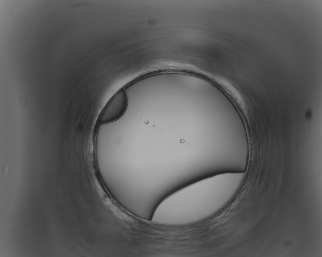 X0000090431287200707131000