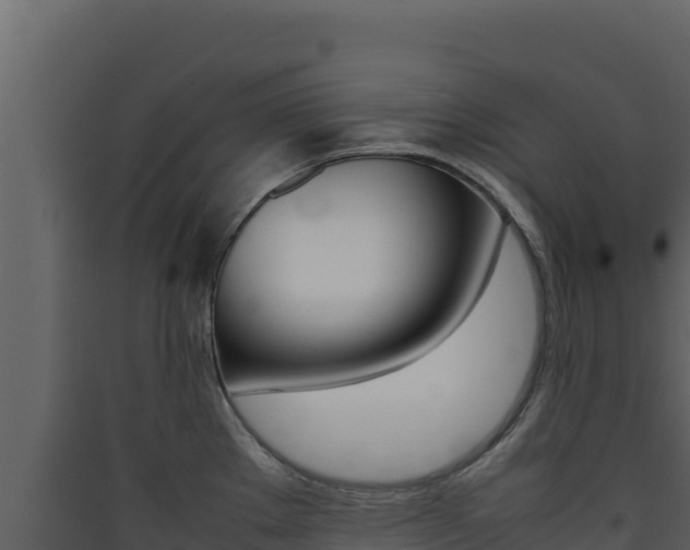 X0000090431289200707131000