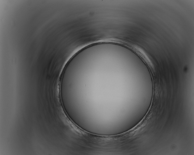 X0000090431292200707131000