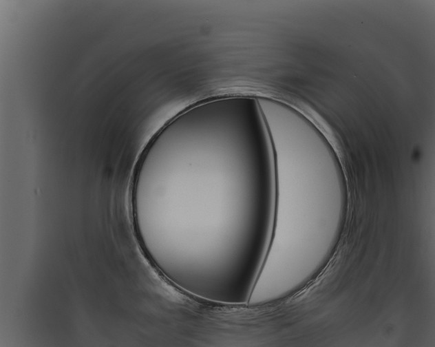 X0000090431293200707131000