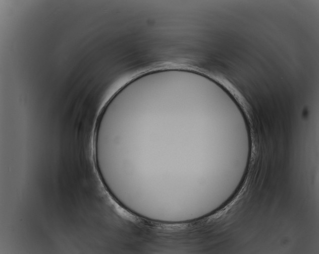 X0000090431294200707131000