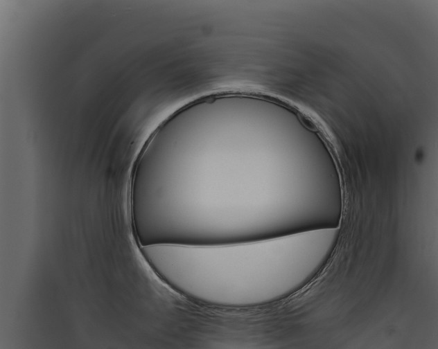 X0000090431295200707131000