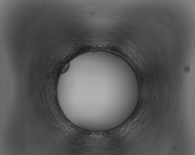 X0000090431297200707130959