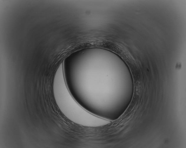 X0000090431298200707130959