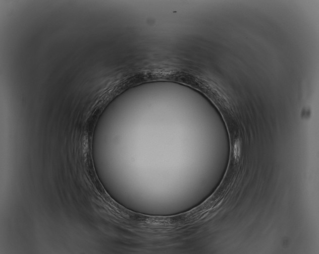 X0000090431299200707130959