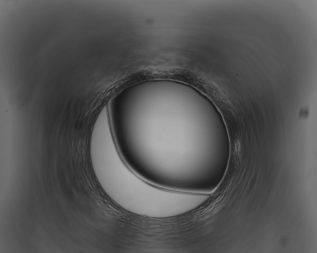 X0000090431300200707130959