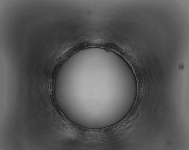 X0000090431301200707130959