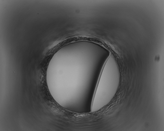X0000090431303200707130959