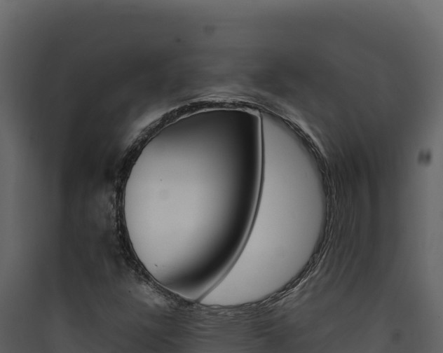 X0000090431304200707130959