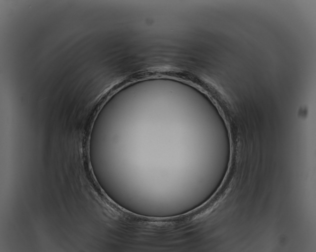 X0000090431305200707130959