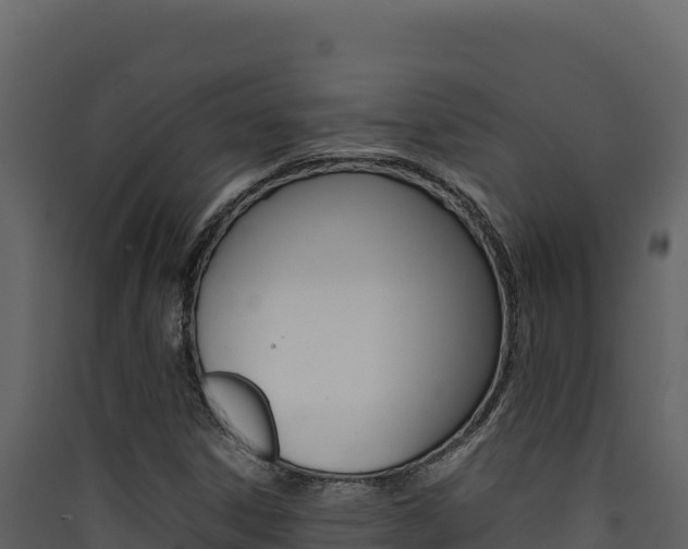 X0000090431306200707130959