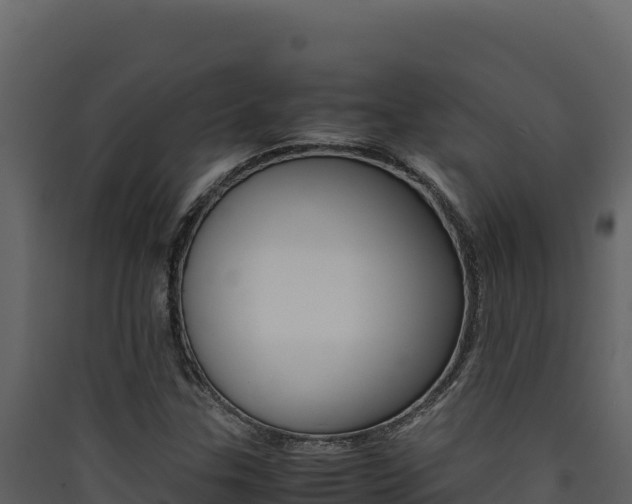 X0000090431307200707130959