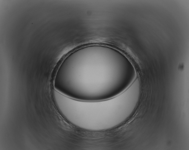X0000090431308200707130959