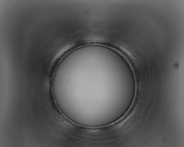 X0000090431309200707130959