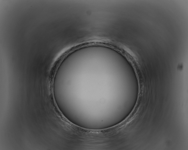 X0000090431310200707130959