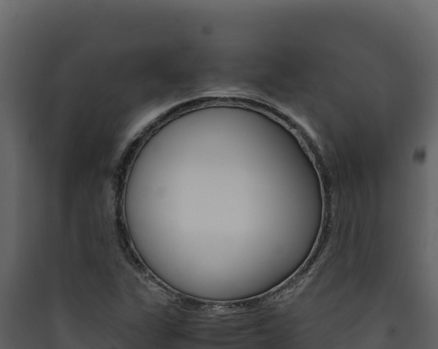 X0000090431311200707130959