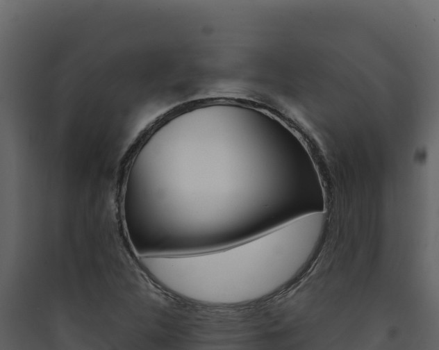 X0000090431312200707130959