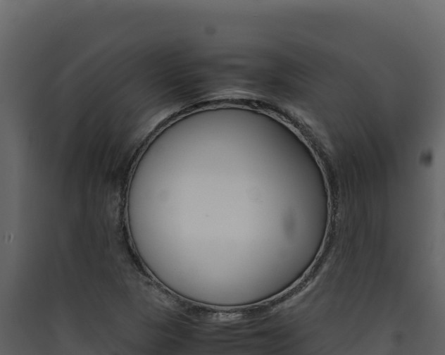 X0000090431313200707130959