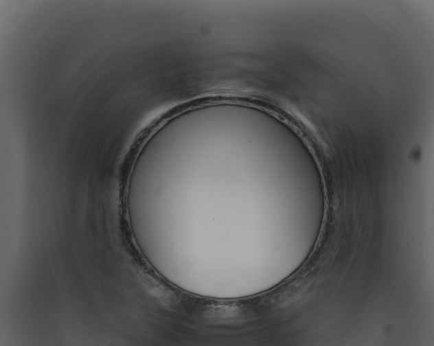 X0000090431315200707130959