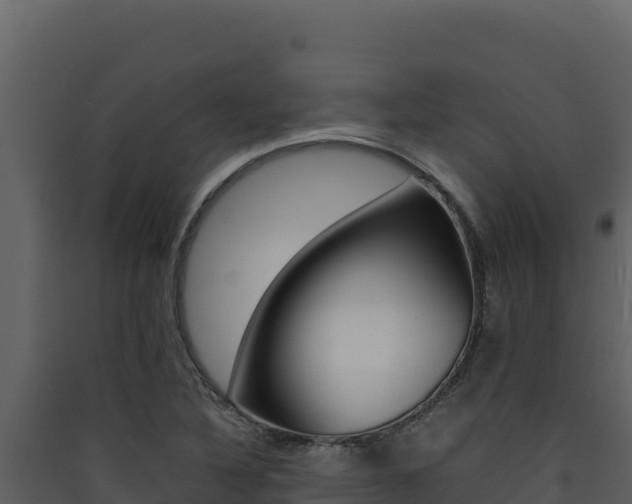 X0000090431316200707130959