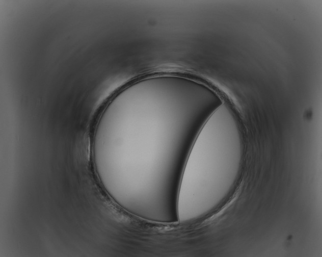 X0000090431317200707130959