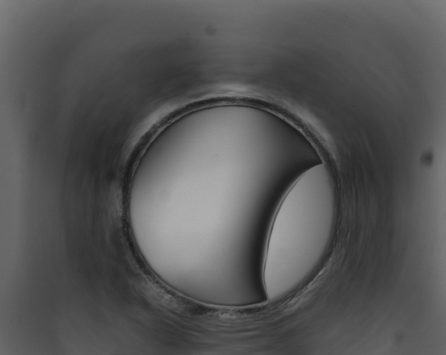 X0000090431318200707130959