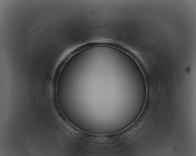 X0000090431319200707130959