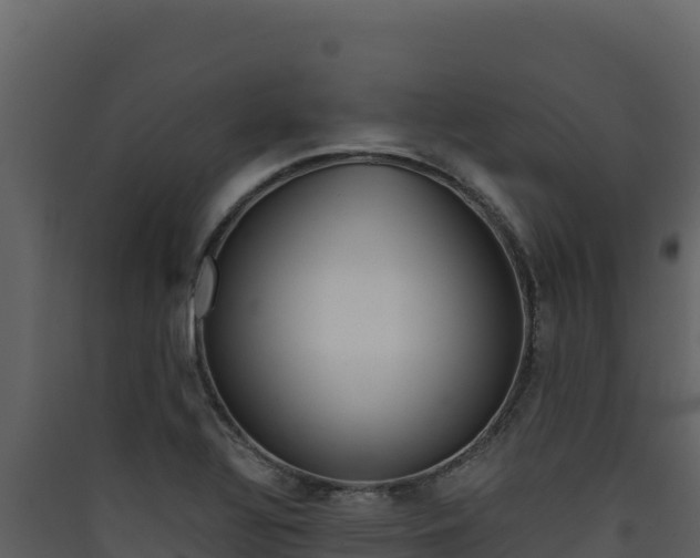X0000090431320200707130959