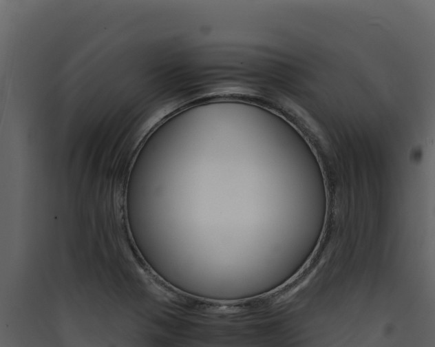 X0000090431321200707130959